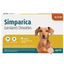 Simparica (Preventivo de Ectoparásitos)