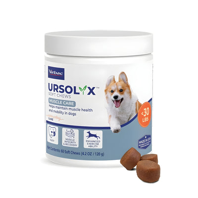 Ursolyx